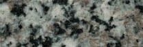Leopard White