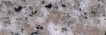 Leopard White